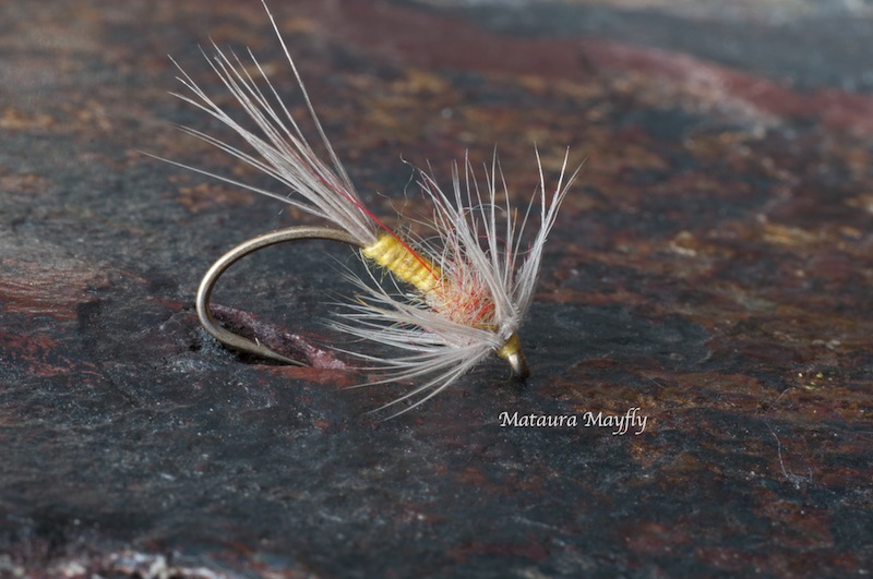 Mataura Mayfly.jpg