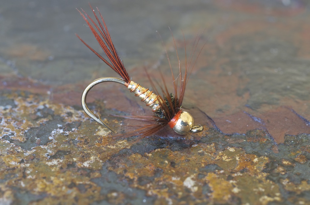 Lightning bug.jpg