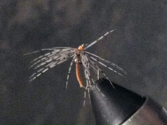 photo-5.JPG