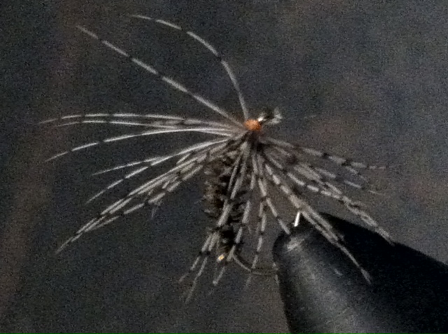 photo-9.JPG