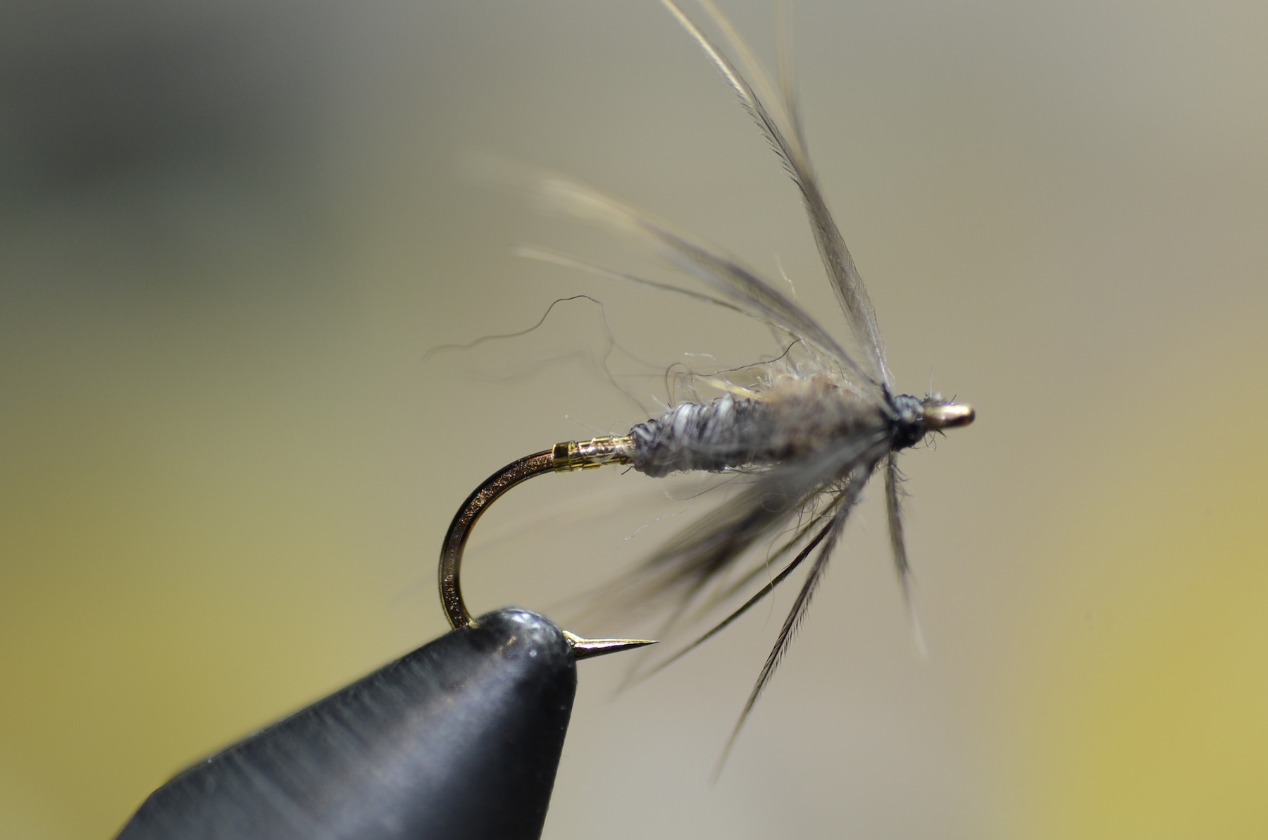 DSC_0762.JPG