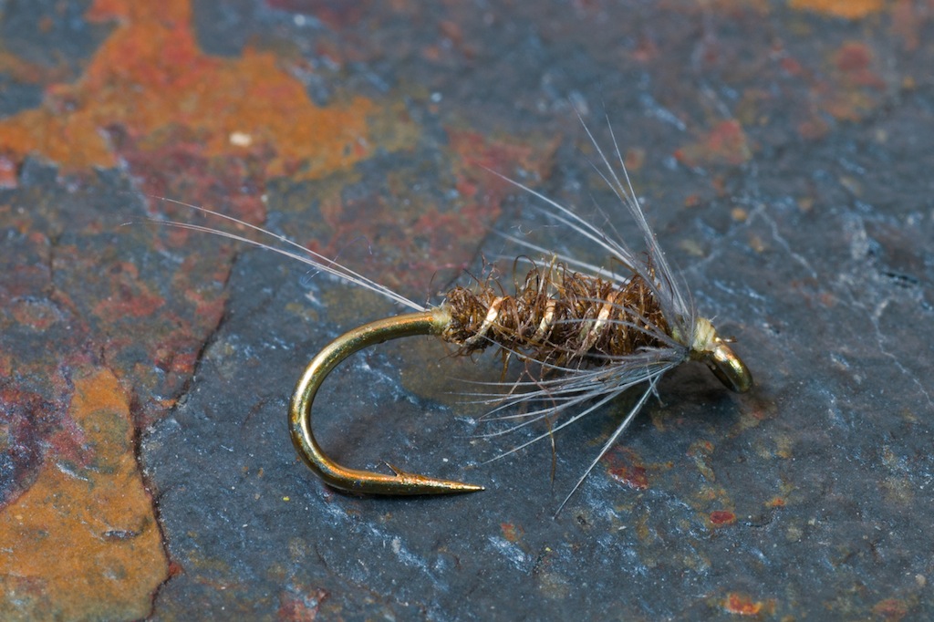Dark Olive Nymph.jpg