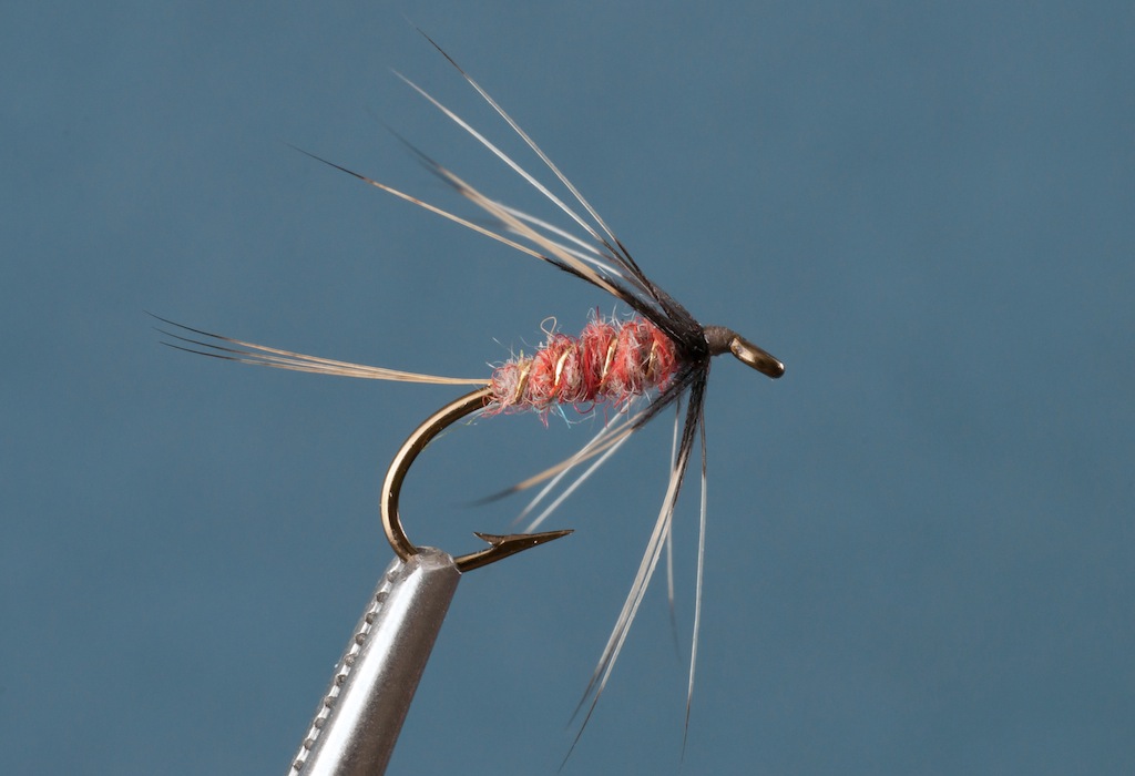 Wet Conover Fly.jpg