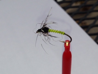 Hydropsyche Larvae Nymph/Soft Hackle