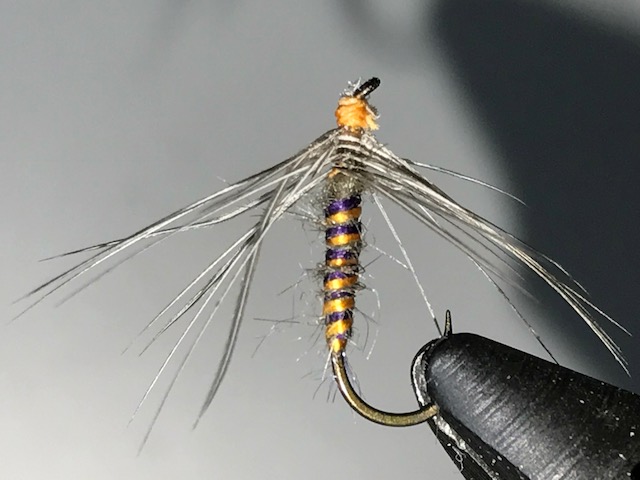 IMG_3666.JPG