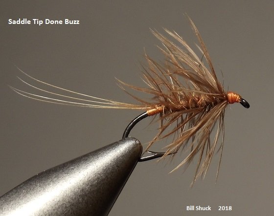 Saddle Tip Done Buzz.JPG