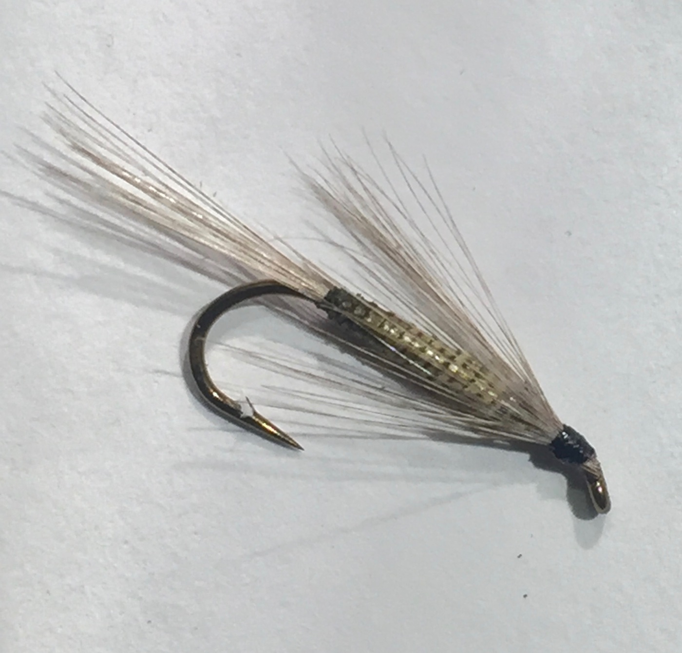 Olive Quill, Daiichi 1710, Darbee dun