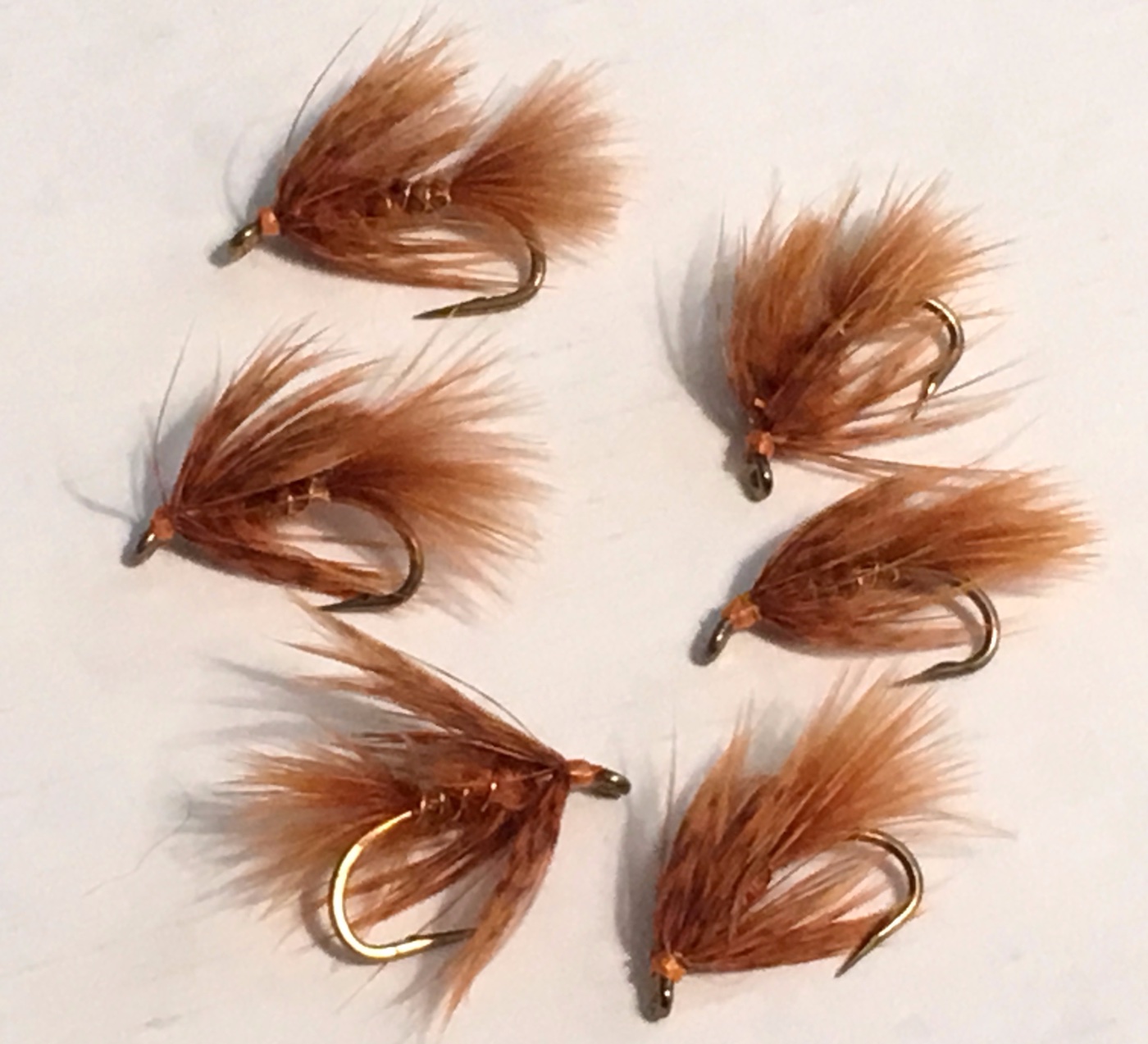 October Caddis Soft Hackles.JPG