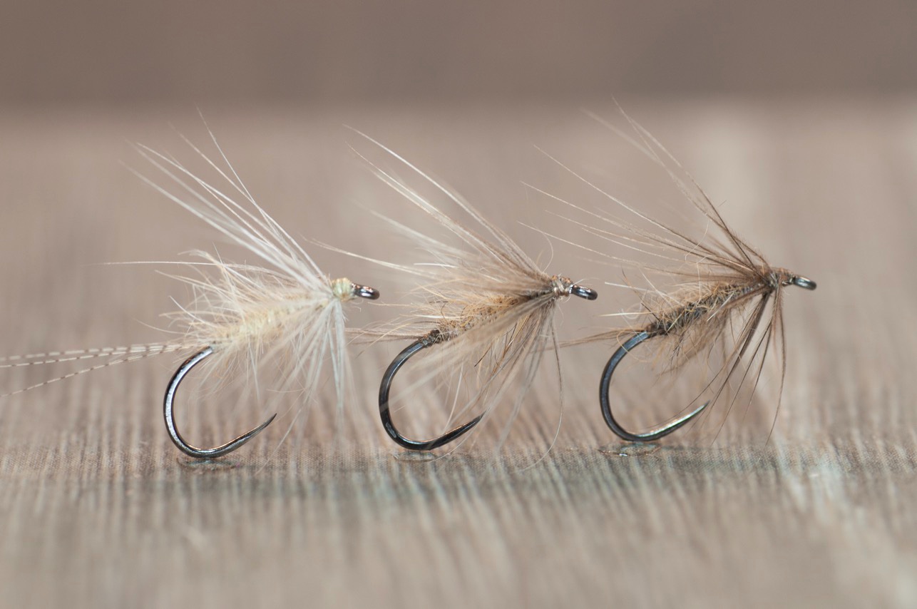 reducedLMD Flymphs.jpg