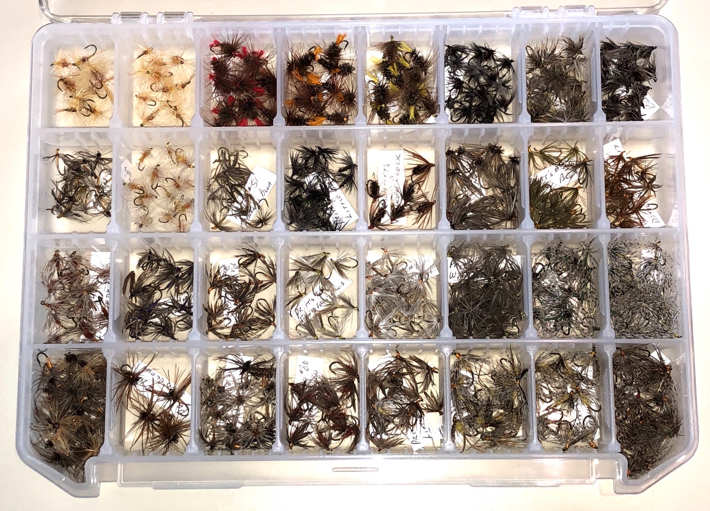 North Country Spiders Box - 01.JPG