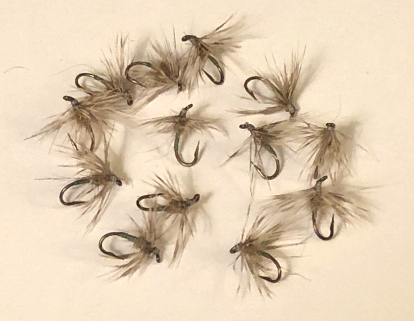 Pritt's #33 Greentail -02.JPG