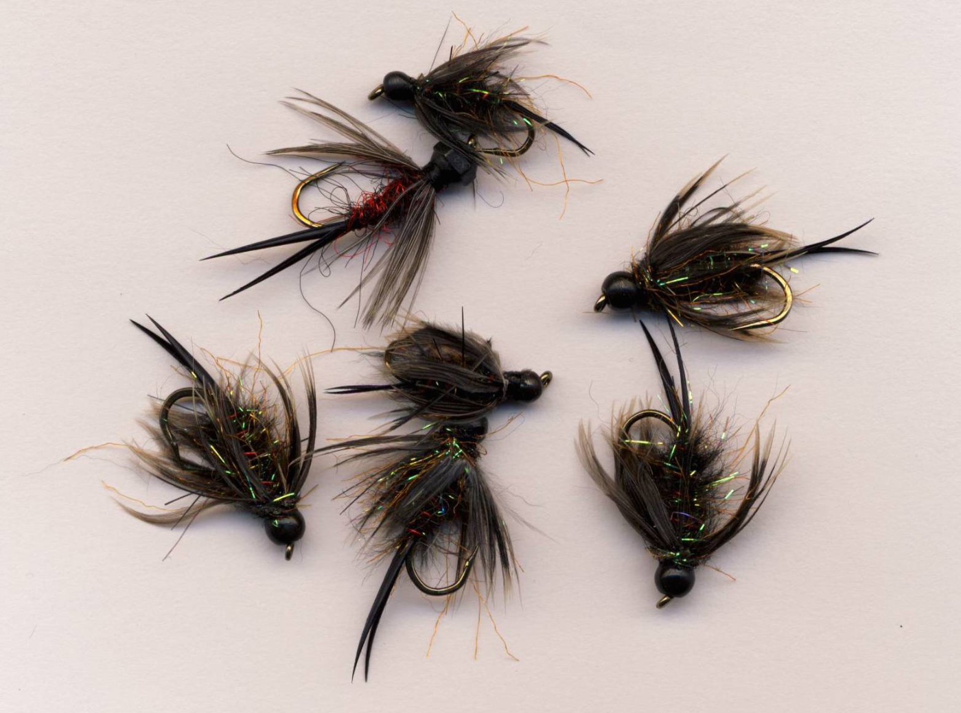 Black Stonefly Nymphs.JPG