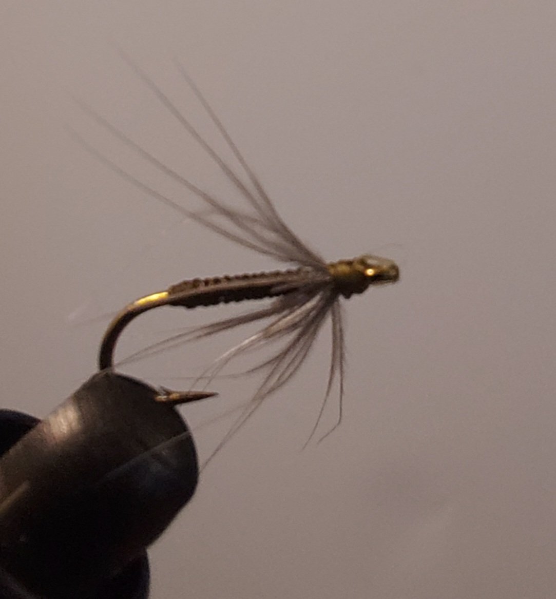 20221031_113726.jpg