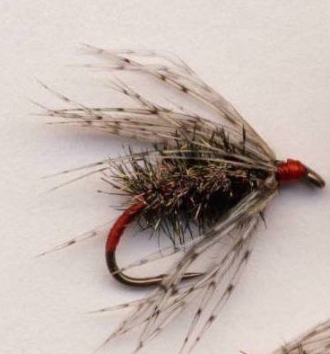 Red Ass Soft Hackle.jpg