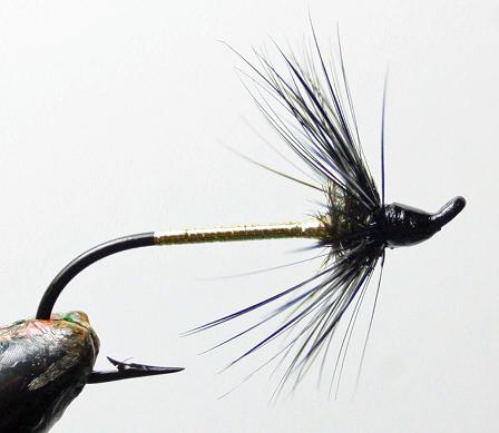 March 12 2012 002.JPG