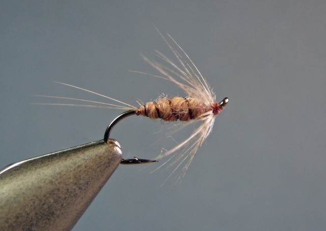 Wingless Killer