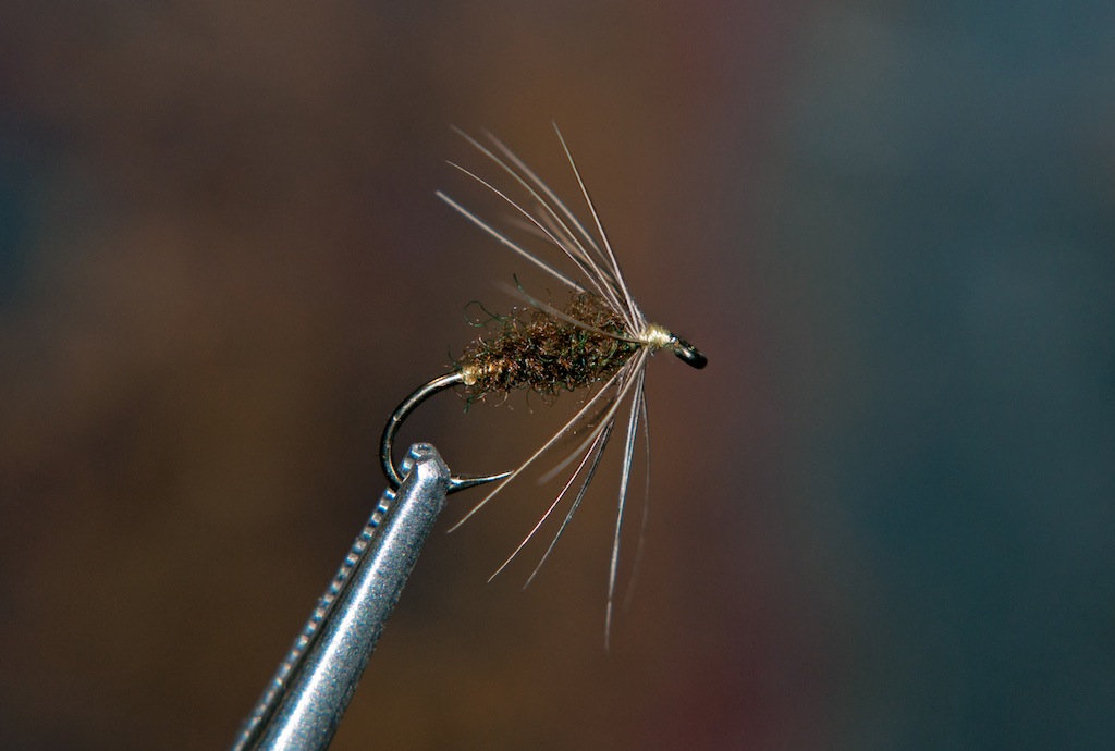 Leisenring Dark Olive.jpg