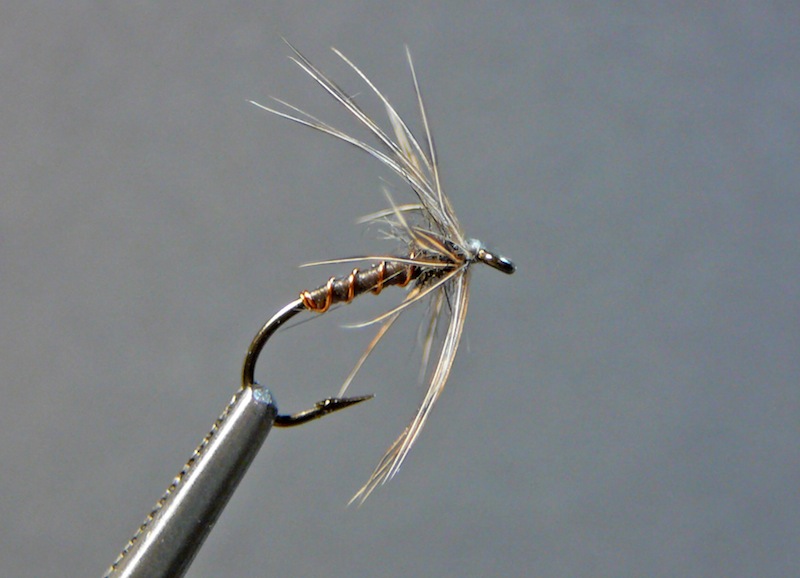 Woodcock Copper Dun.jpg
