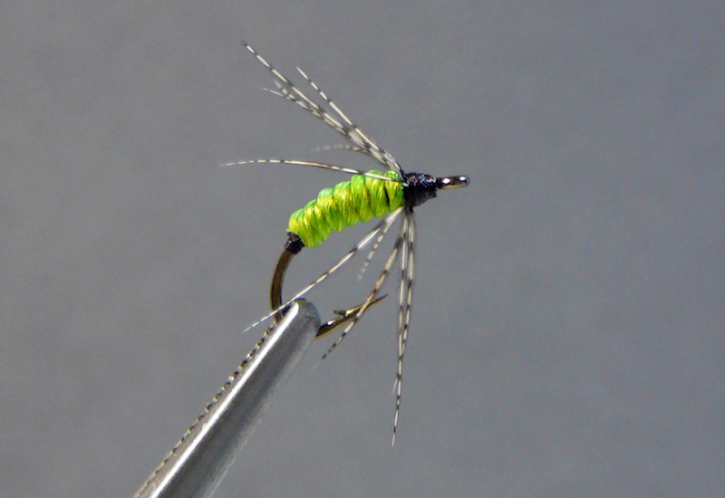 Yak Grub (green).jpg