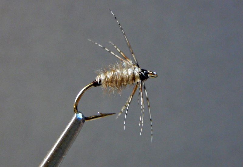 Yack Grub (herled).jpg