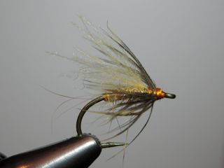CDC Grouse & Orange.jpg