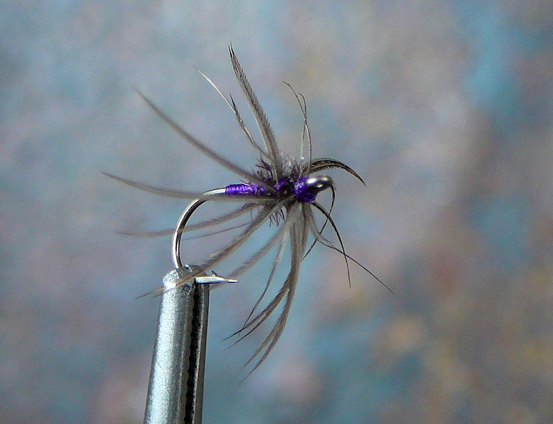 Fresh Purple and Snipe.jpg