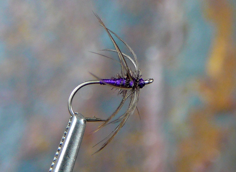 Fresh Snipe and Purple profile.jpg