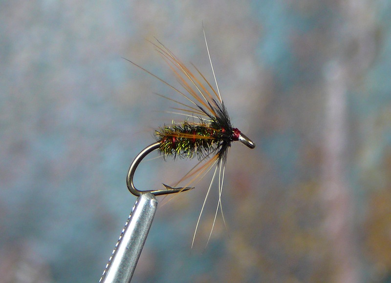 Red Hackle Peacock.jpg