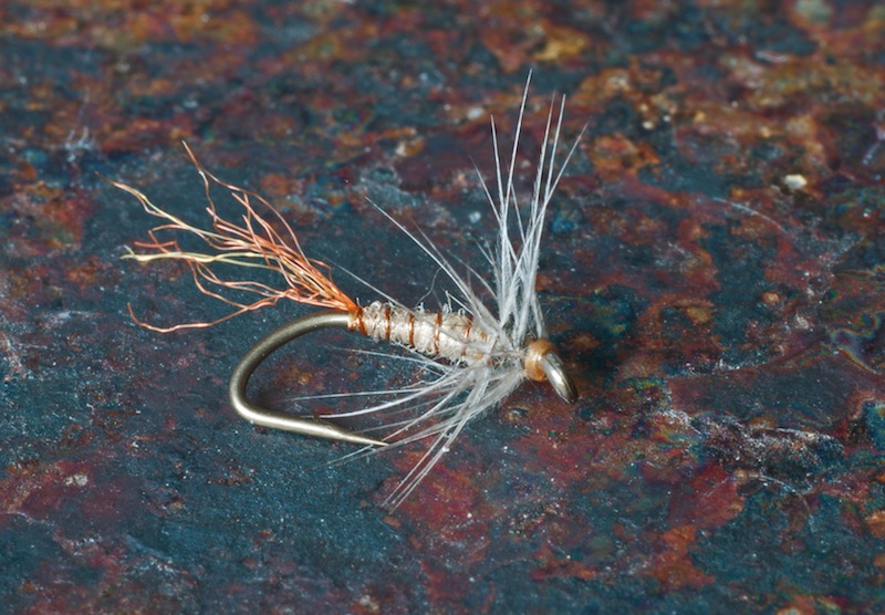 Soft Hackle PMD.jpg