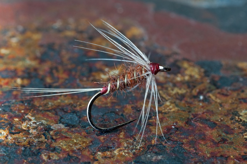 Rusty Spinner.jpg