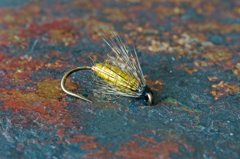 Spanish style caddis.jpg
