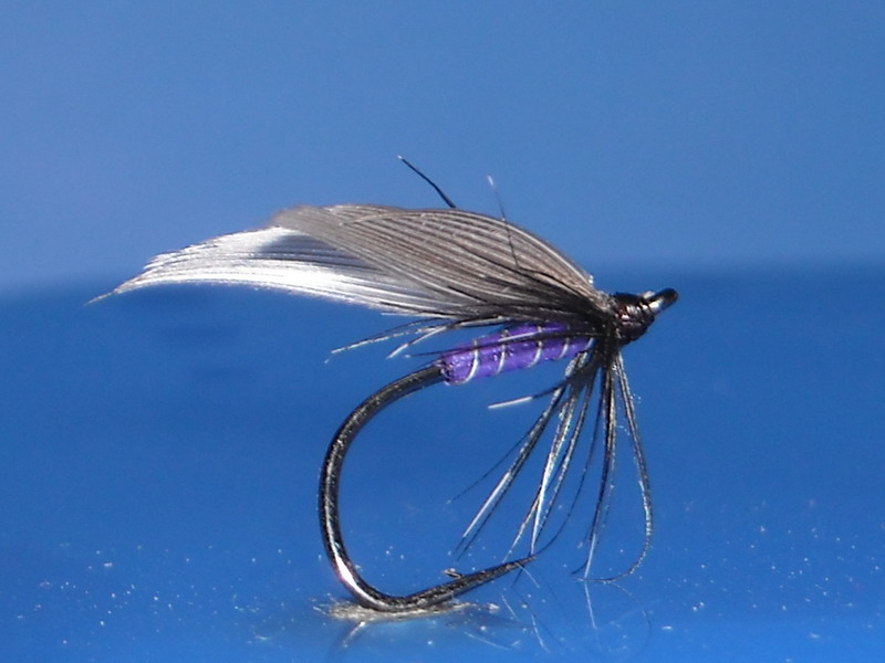 DSCN7823.jpg