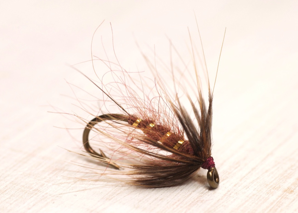 reducedBrown Hackle FFaTO.jpg