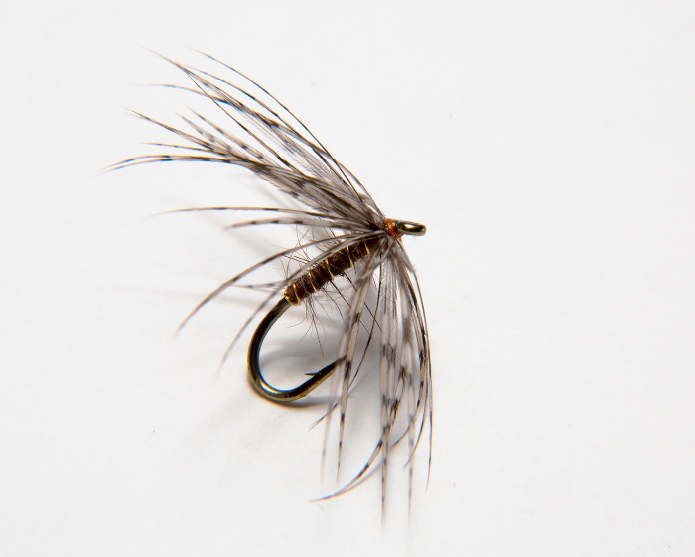 This is a photo of my Partridge & Hares' Ear, size 14 TMC 3769, as I dress it now. The hackle is both longer and fuller than tends to be current for must tiers. My rationale for these proportions comes from examining and replicating traditional Spiders. Personal experience with flies dressed so is that they are, at least for me, both more effective and longer lived. (The colors should be a bit richer but for some reason look a little washed out, especially the hackle which is brown partridge back and not gray neck.)