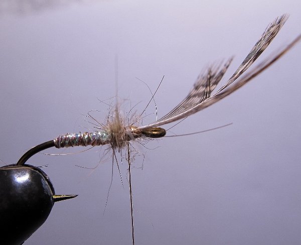 tying demo 013 (600x488).jpg