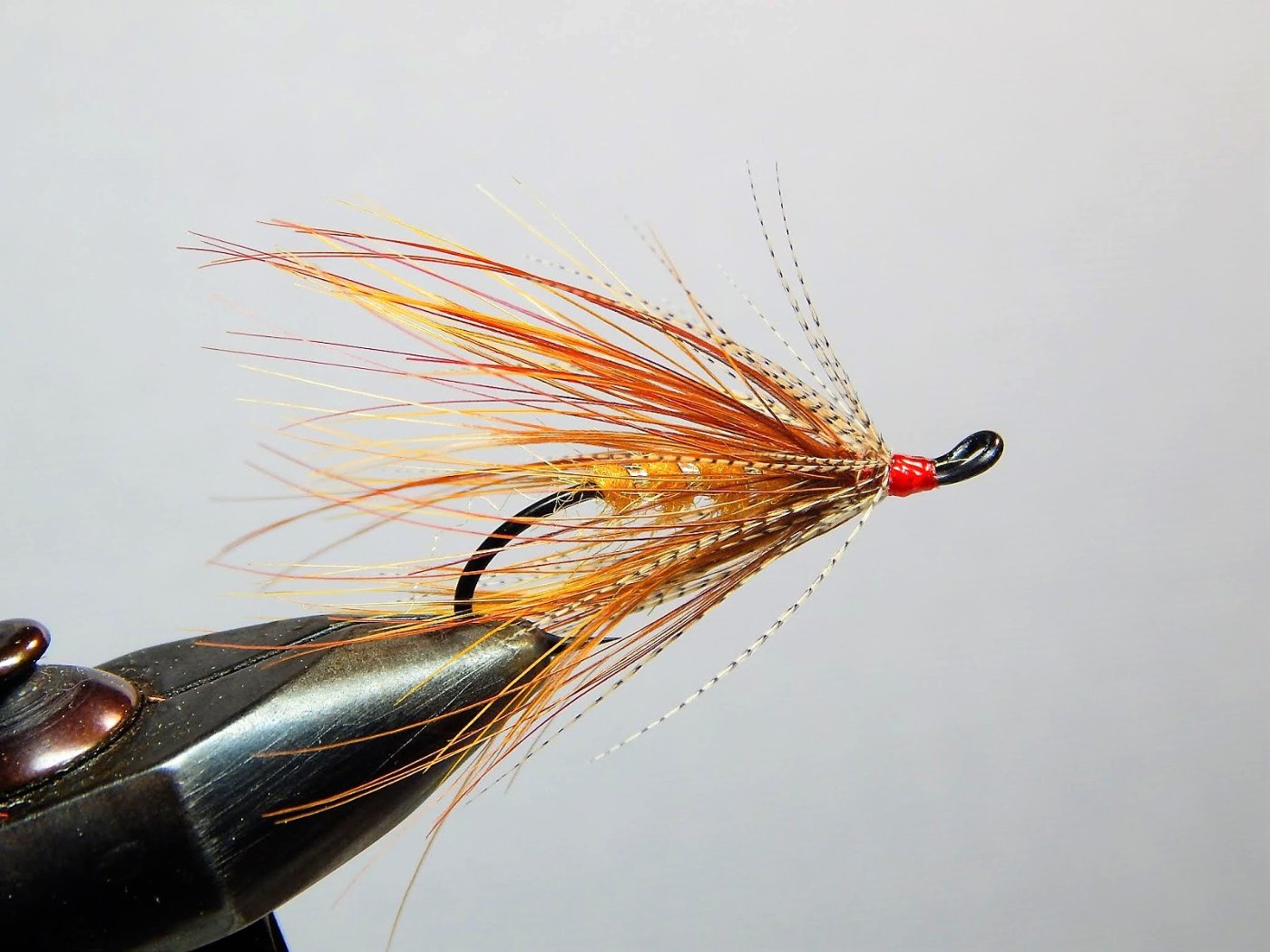 ct brown trout 26.jpg