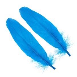 Kimgfisher Blue Goose Shoulder Feathers.jpg