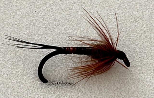 Brown Mayfly.jpg