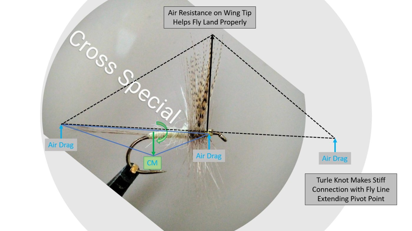 Visualization of Force Balance on Catskill Dry Fly (RET_28MAR22).jpg