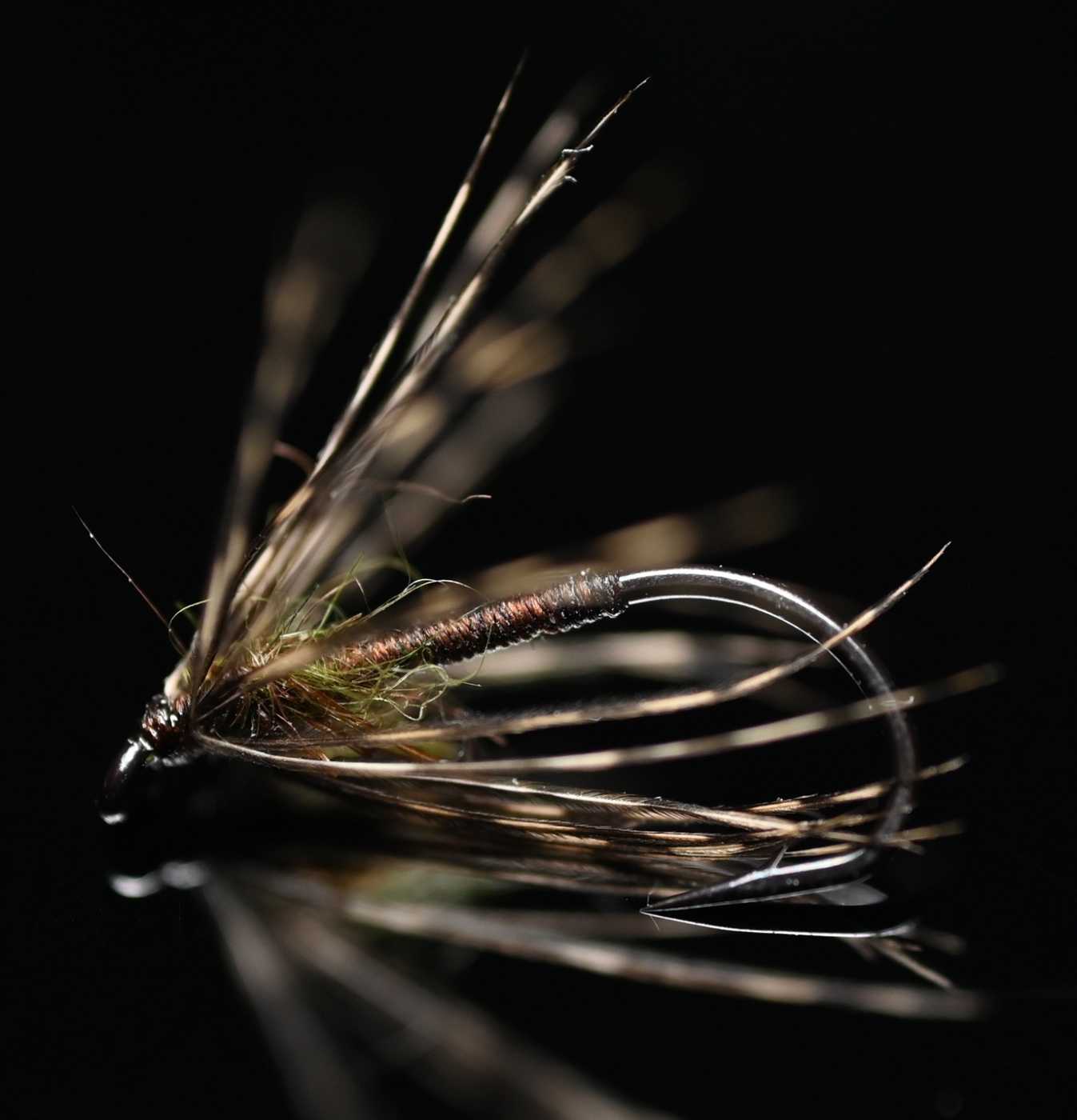 Soft Hackle 1.jpg