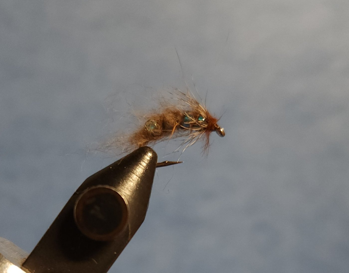 Green Pulsating Caddis Pupa # 12.jpg