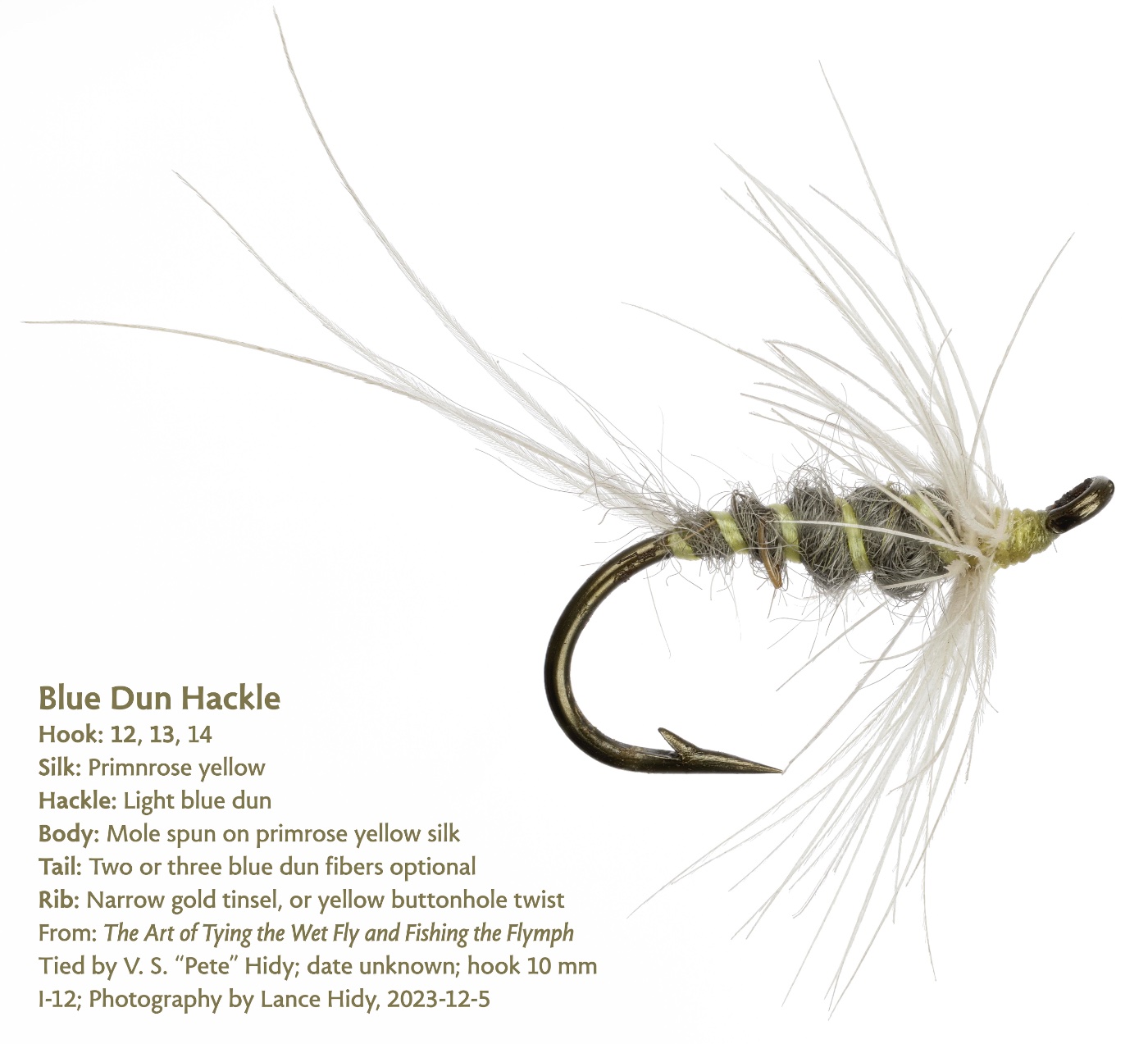 Hidy I-12 Blue Dun Hackle 2nd Lo.jpg