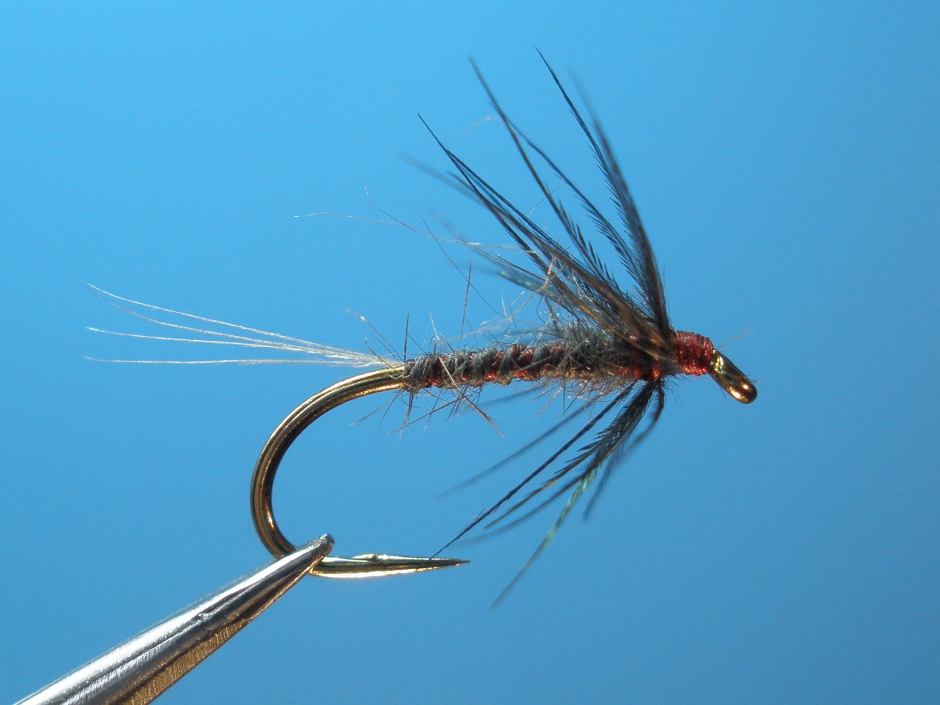 IBF 15 Iron Blue Dun - William Anderson 1.JPG