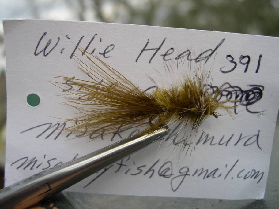 Wille Head.jpg