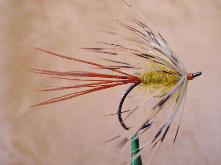 Welsh Inspired Mayfly.jpg